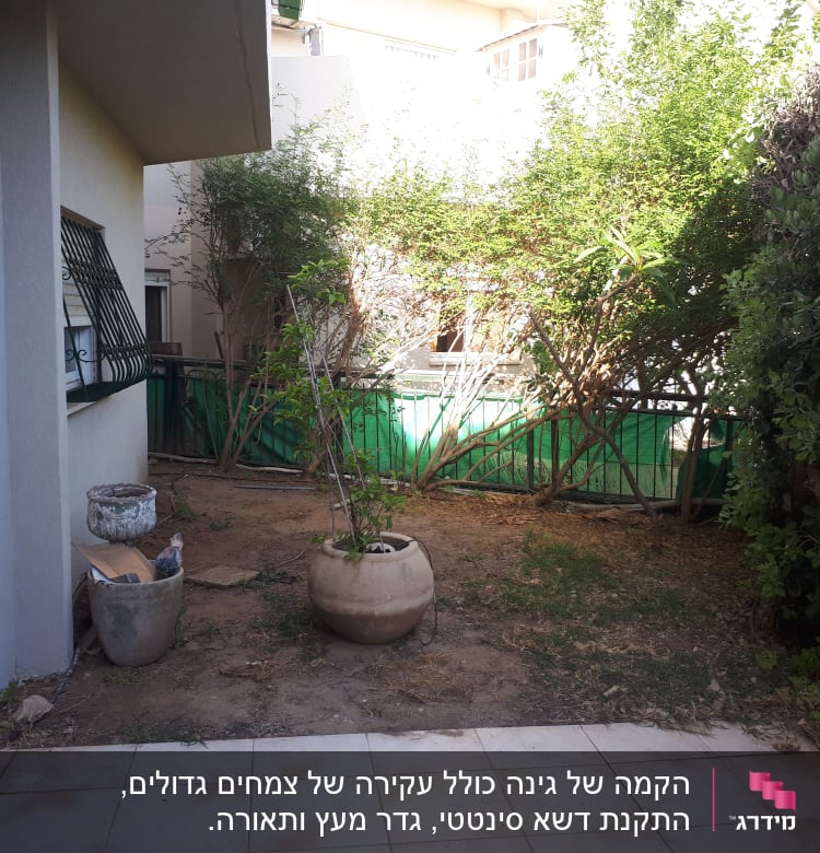 עציץ גדול עם צמח, עציצים ריקים, גינה קטנה